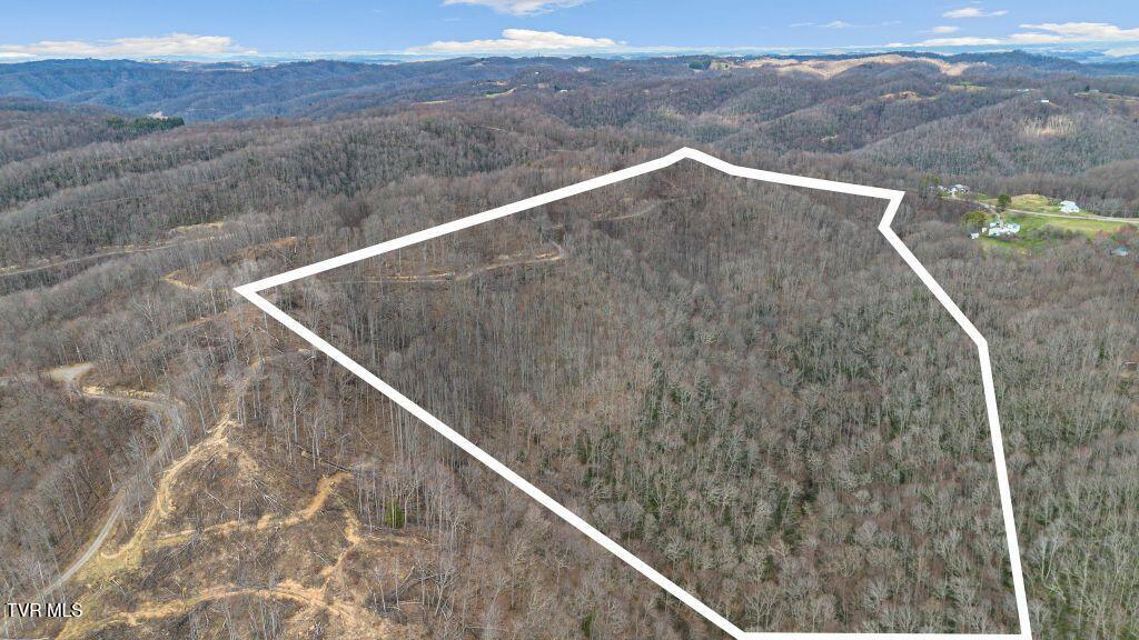 1 Reynolds Ridge Road, Cedar Bluff, Virginia image 2