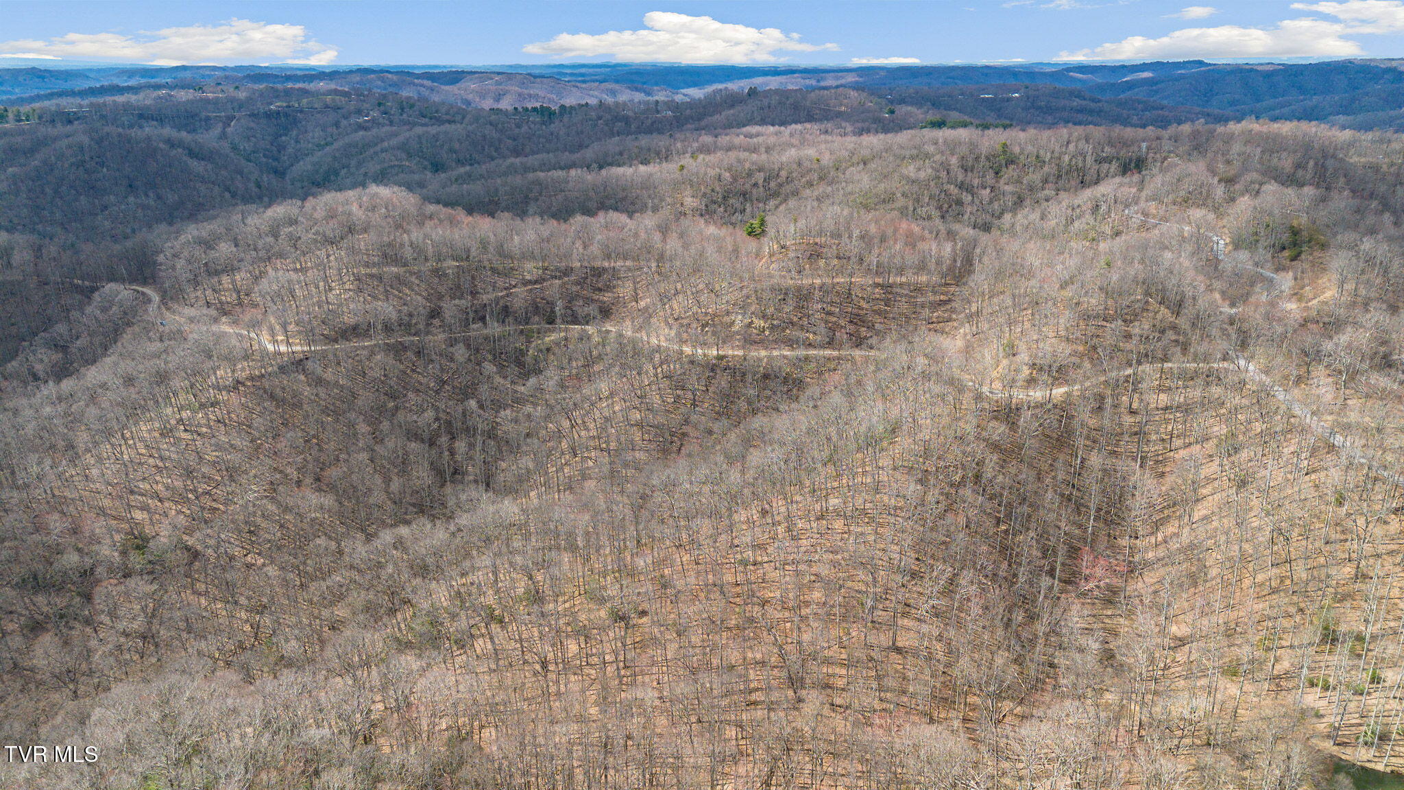 1 Reynolds Ridge Road, Cedar Bluff, Virginia image 7
