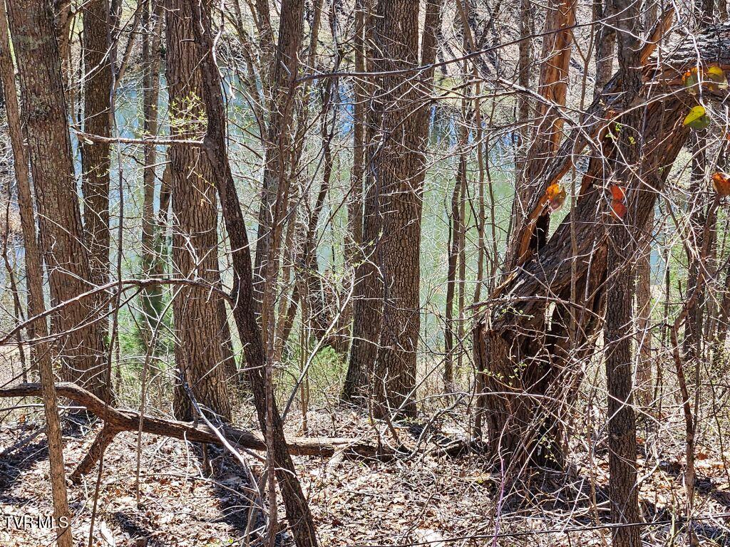 1 Reynolds Ridge Road, Cedar Bluff, Virginia image 16