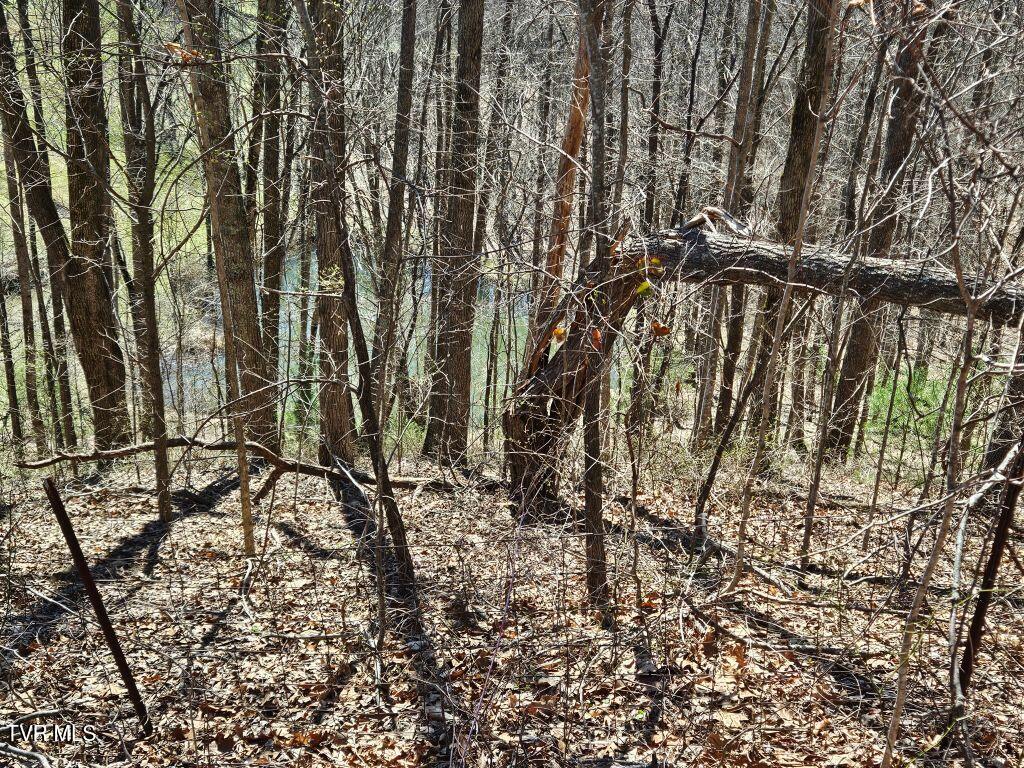 1 Reynolds Ridge Road, Cedar Bluff, Virginia image 17