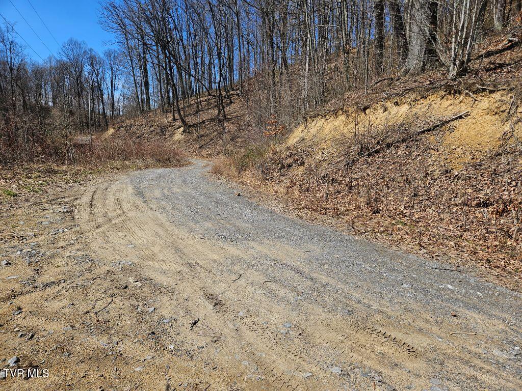 1 Reynolds Ridge Road, Cedar Bluff, Virginia image 18