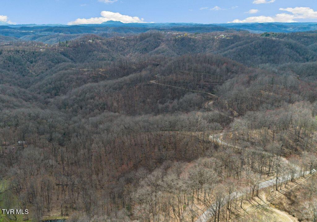 1 Reynolds Ridge Road, Cedar Bluff, Virginia image 1