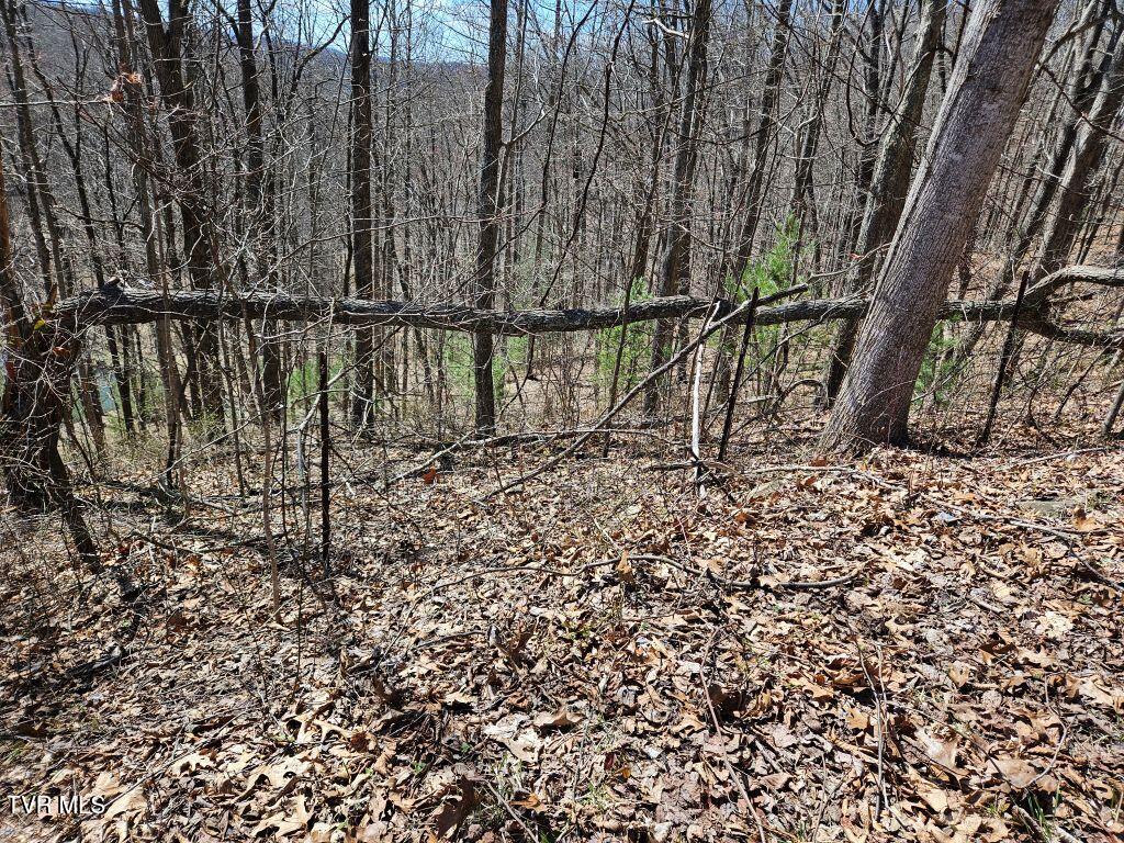 1 Reynolds Ridge Road, Cedar Bluff, Virginia image 14