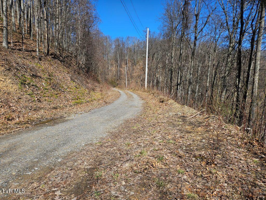 1 Reynolds Ridge Road, Cedar Bluff, Virginia image 15