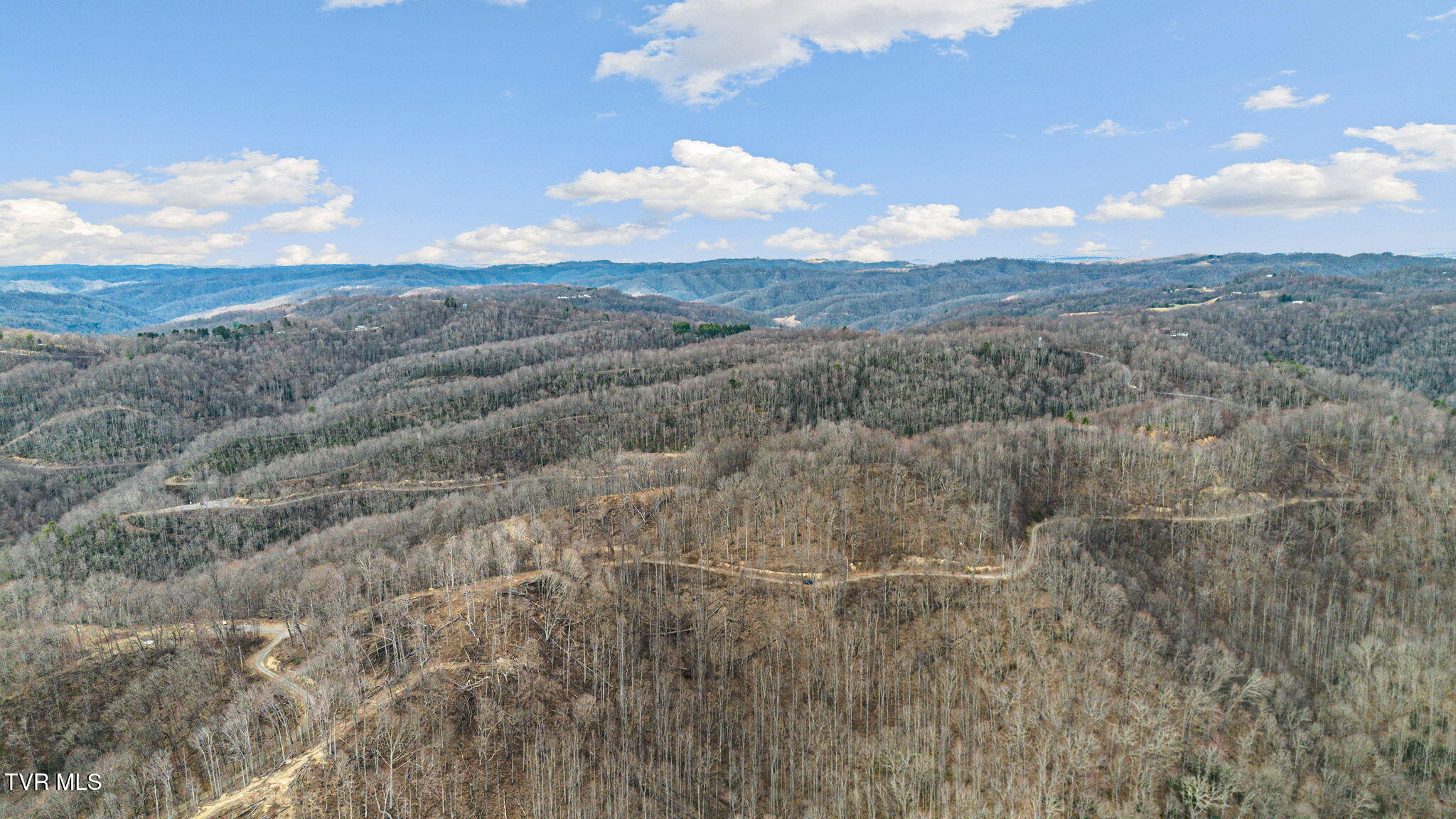 1 Reynolds Ridge Road, Cedar Bluff, Virginia image 11