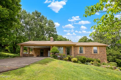 Photo of 340 Hills Drive, Mosheim, TN 37818 (MLS # 9994693)