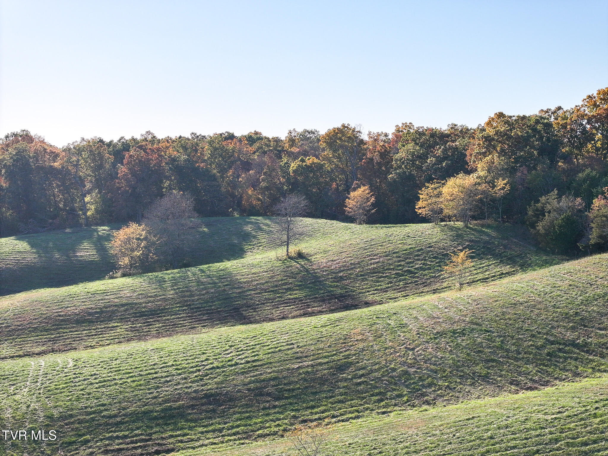 Lots 6 & 7 Burkey Road, Greeneville, Tennessee image 14