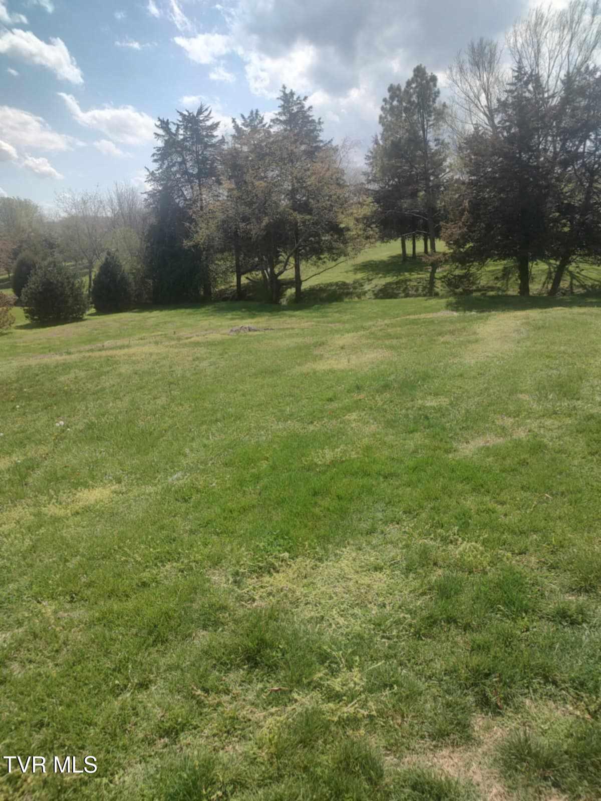 303 Cd Williams Road, Telford, Tennessee image 36