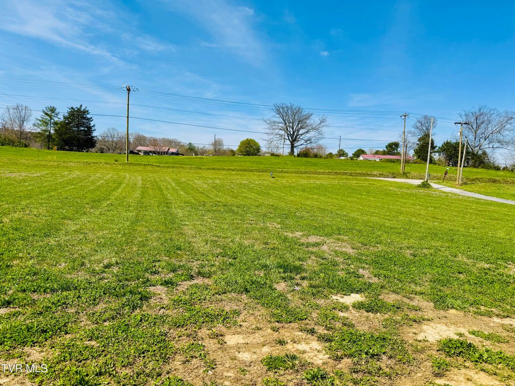 Photo of 108 Young Road, Bulls Gap, TN 37711 (MLS # 9993477)