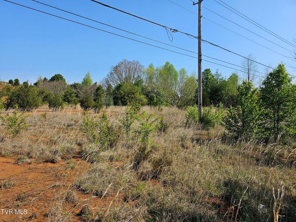 Photo of 181 Andrew Johnson Hwy., Greeneville, TN 37745 (MLS # 9978753)