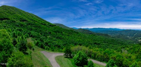 C613 Buffalo Nvno Trade TN 37691