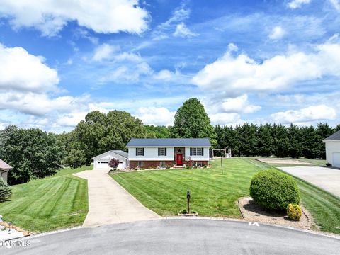 Photo of 122 Earlington Drive, Greeneville, TN 37743 (MLS # 9994782)