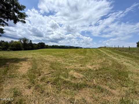 Vacant Land For Sale - 565 Highway 160<br/> Newport, TN 37821