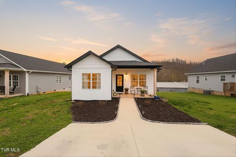 Photo of 1610 Millard Street, Johnson City, TN 37601 (MLS # 9992127)