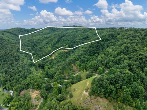 Vacant Land For Sale - TBD Ash Hopper Hollow<br/> Unicoi County, Erwin, TN 37650