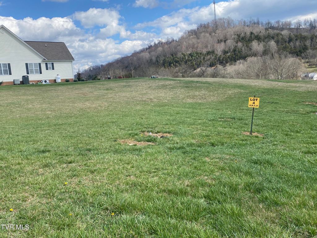 Photo of Tbd Riley Street, Lebanon, VA 24266 (MLS # 9980302)