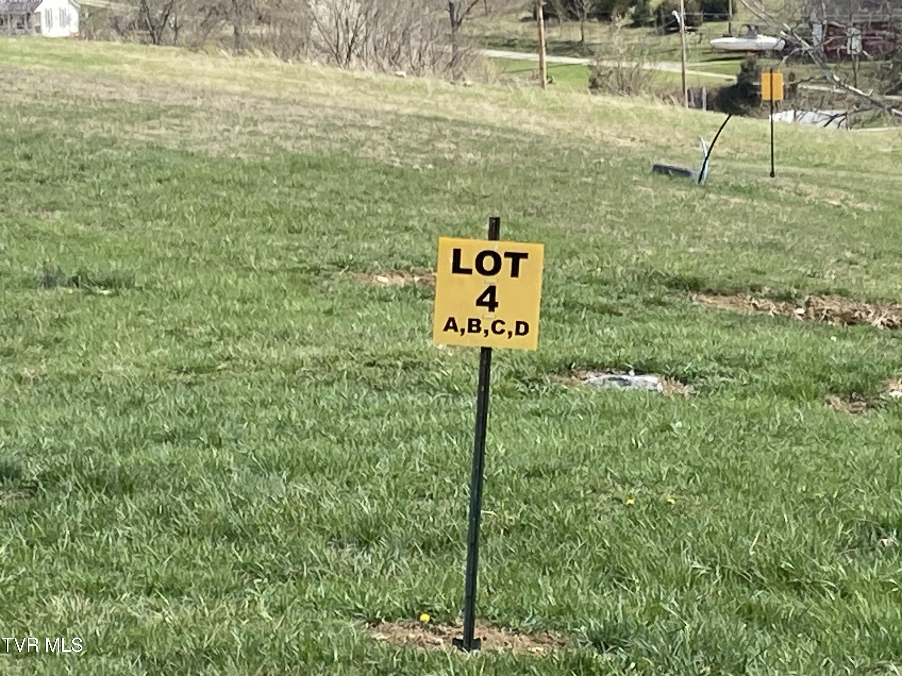 Tbd Riley Street, Lebanon, Virginia image 2
