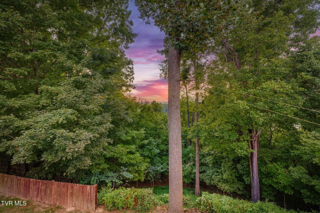 Photo of 259 Alpine Trail, Kingsport, TN 37663 (MLS # 10000335)