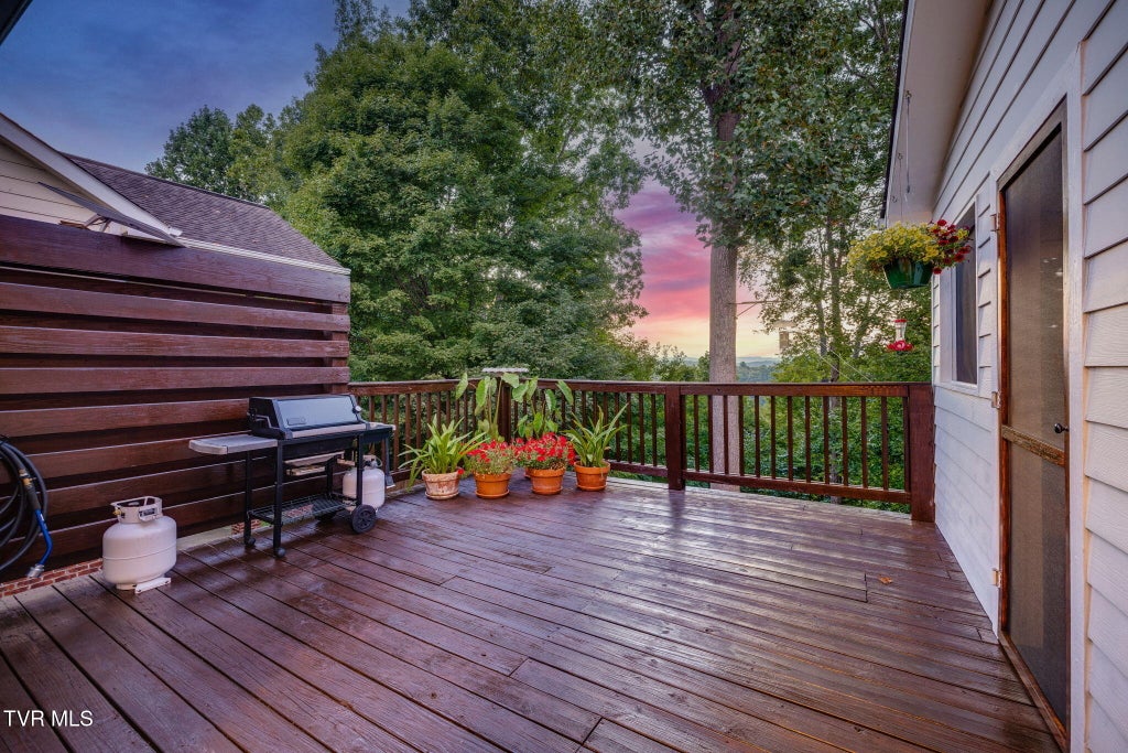 Photo of 259 Alpine Trail, Kingsport, TN 37663 (MLS # 10000335)