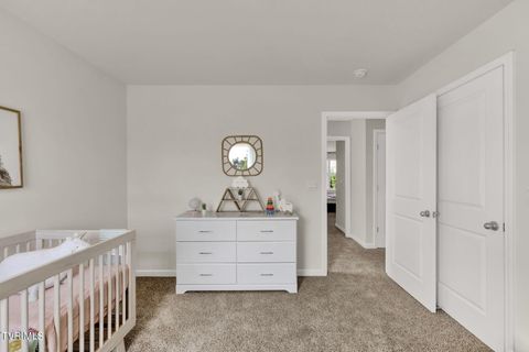 Tiny photo for 1131 Aspen Terrace, Greeneville, TN 37745 (MLS # 9980823)