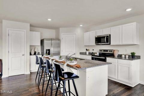 Tiny photo for 1131 Aspen Terrace, Greeneville, TN 37745 (MLS # 9980823)