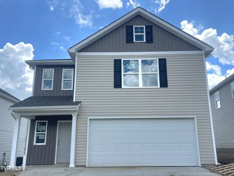 Tiny photo for 1131 Aspen Terrace, Greeneville, TN 37745 (MLS # 9980823)