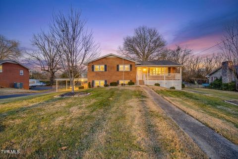 Photo of 2513 Larkspur Drive, Johnson City, TN 37604 (MLS # 9990306)