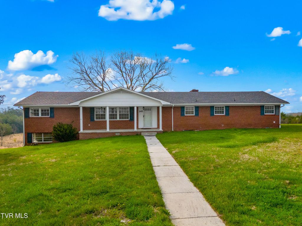 Photo of 245 Phillipi Road, Mohawk, TN 37810 (MLS # 9993659)