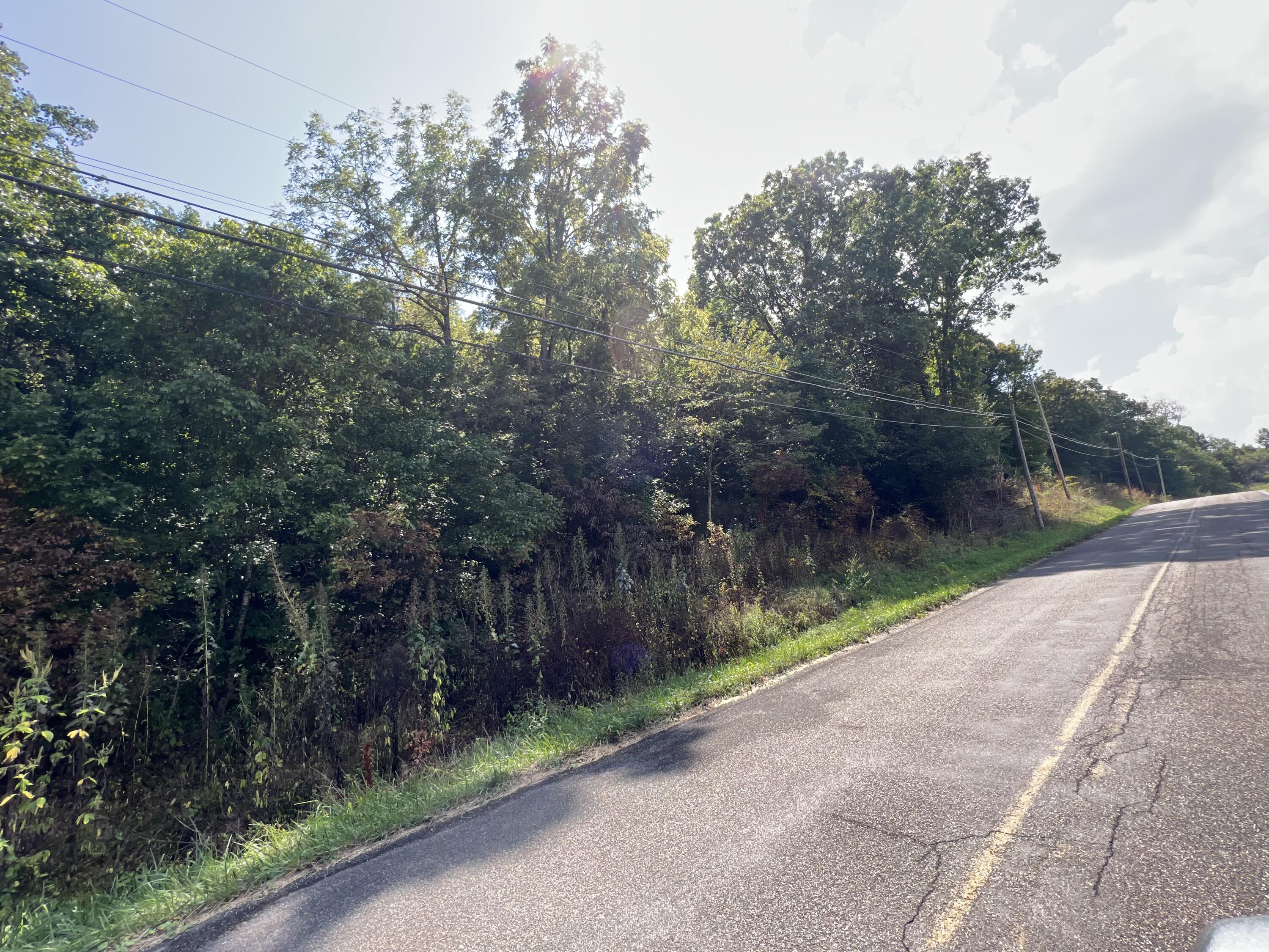 Tbd Wilderness Road, Jonesville, Virginia image 6