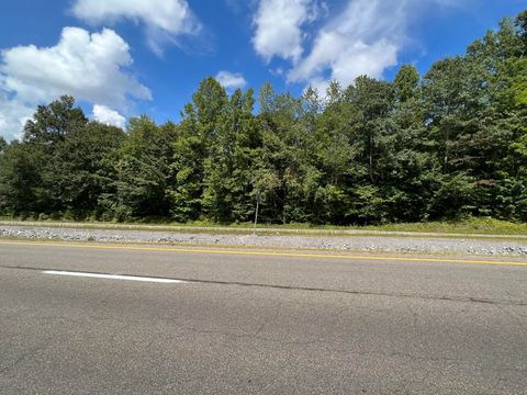 Vacant Land For Sale - TBD Beech Springs Road<br/> Lee County, Jonesville, VA 24263