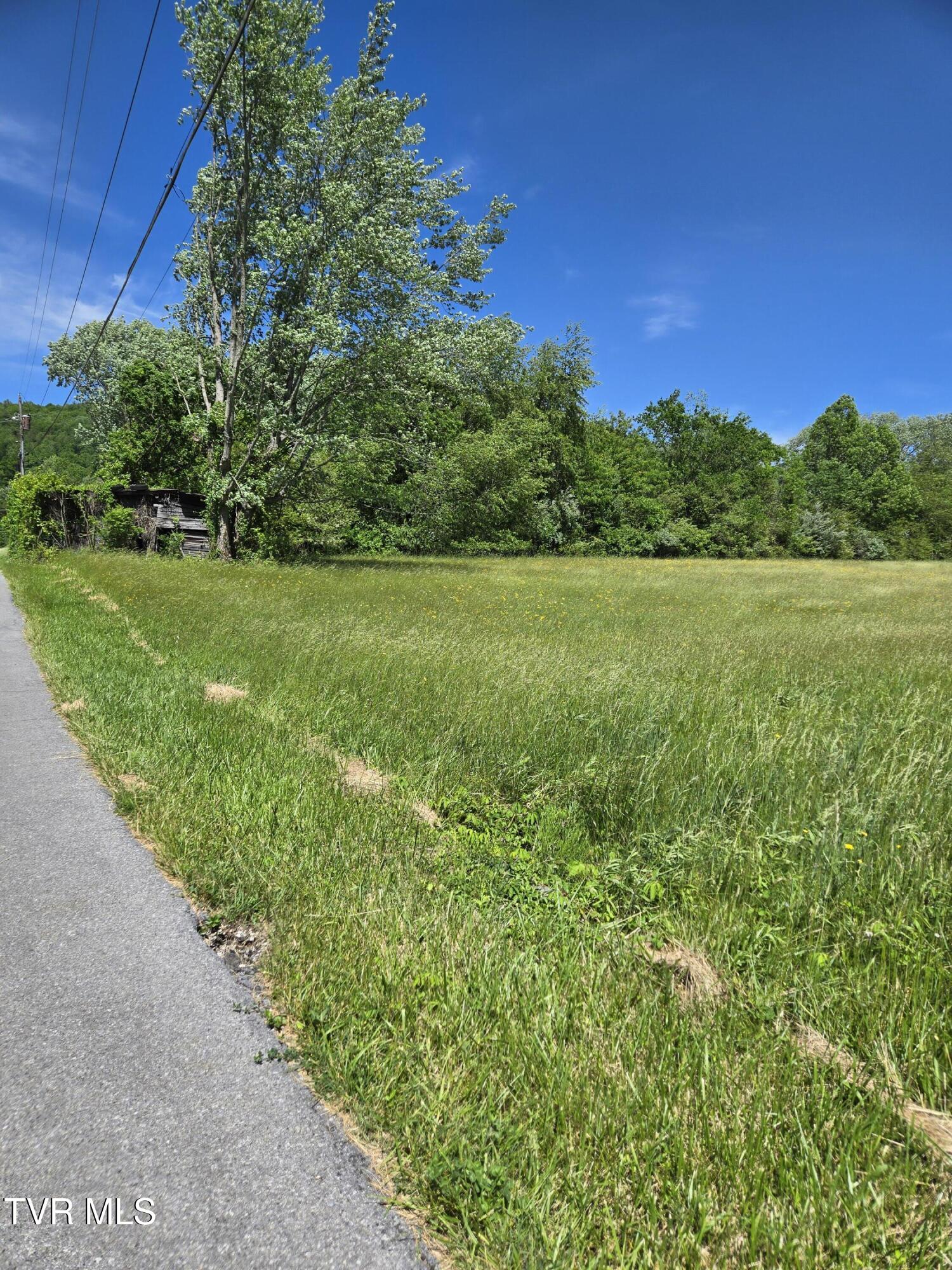 Tbd Unaka View Drive, Erwin, Tennessee image 6
