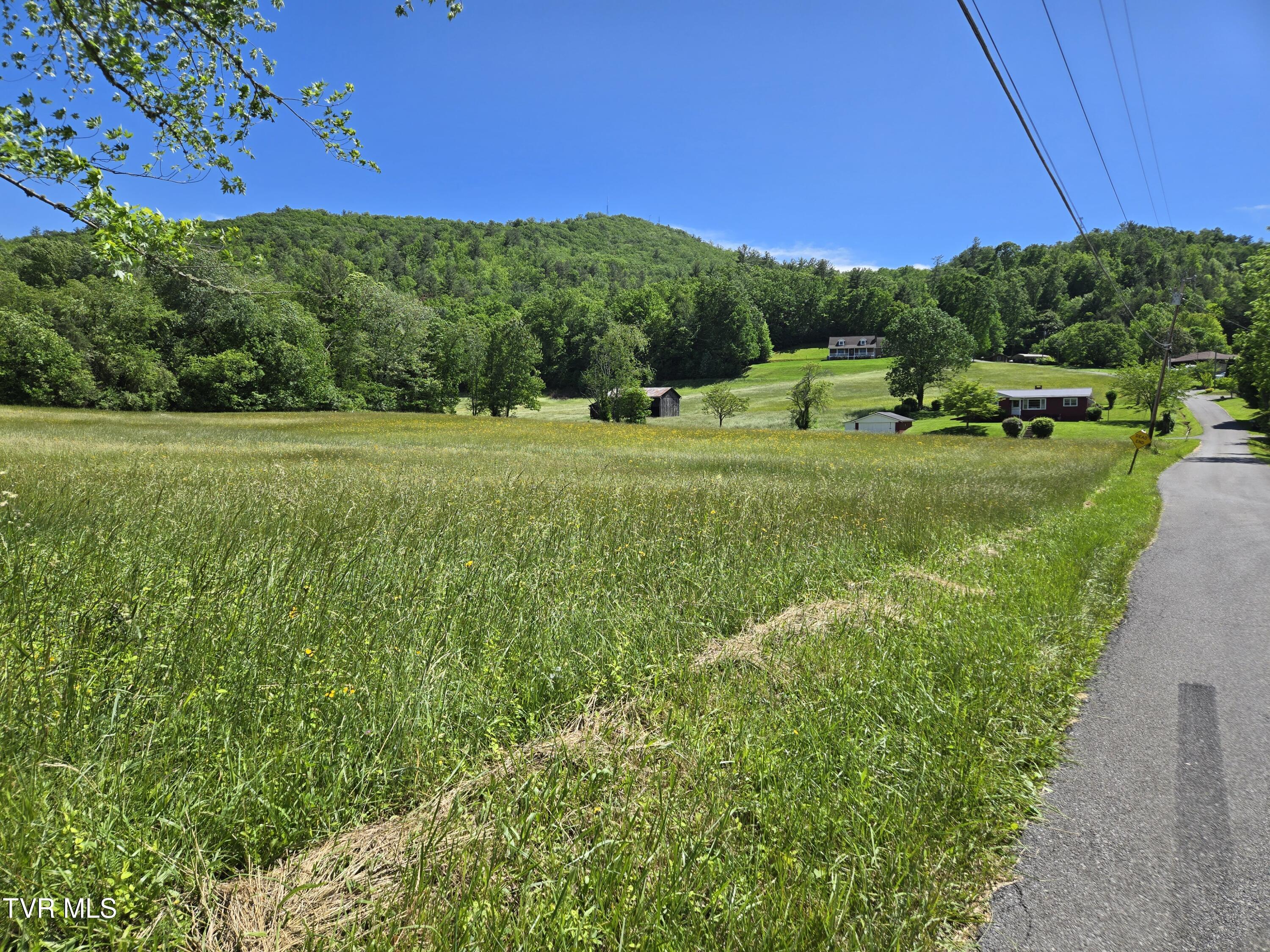 Tbd Unaka View Drive, Erwin, Tennessee image 8