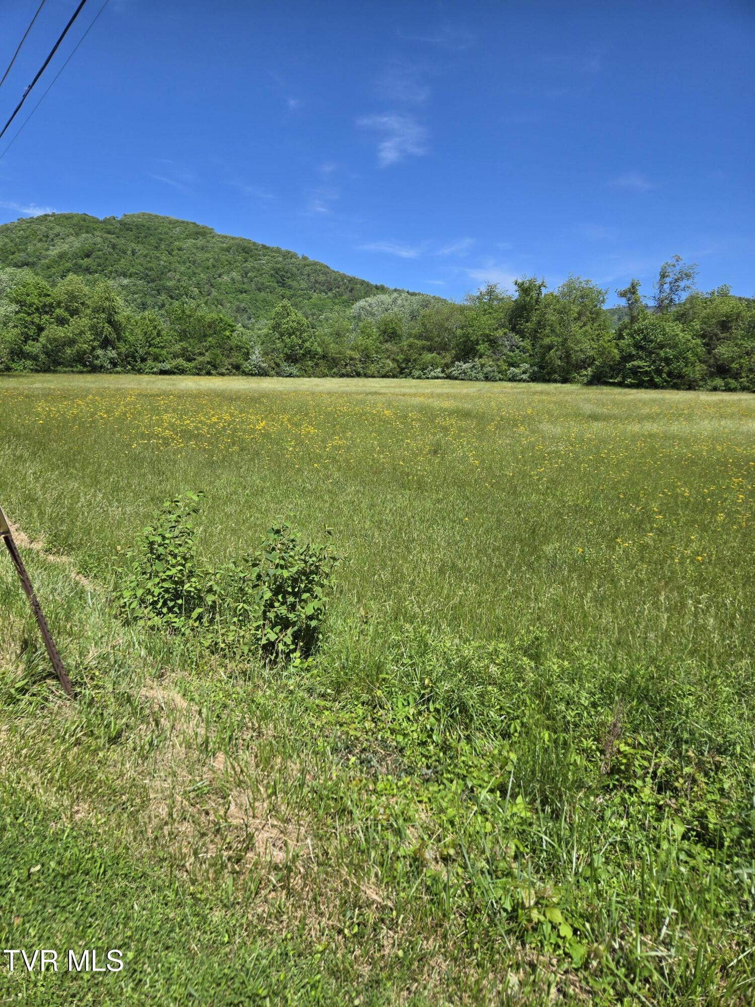 Tbd Unaka View Drive, Erwin, Tennessee image 3
