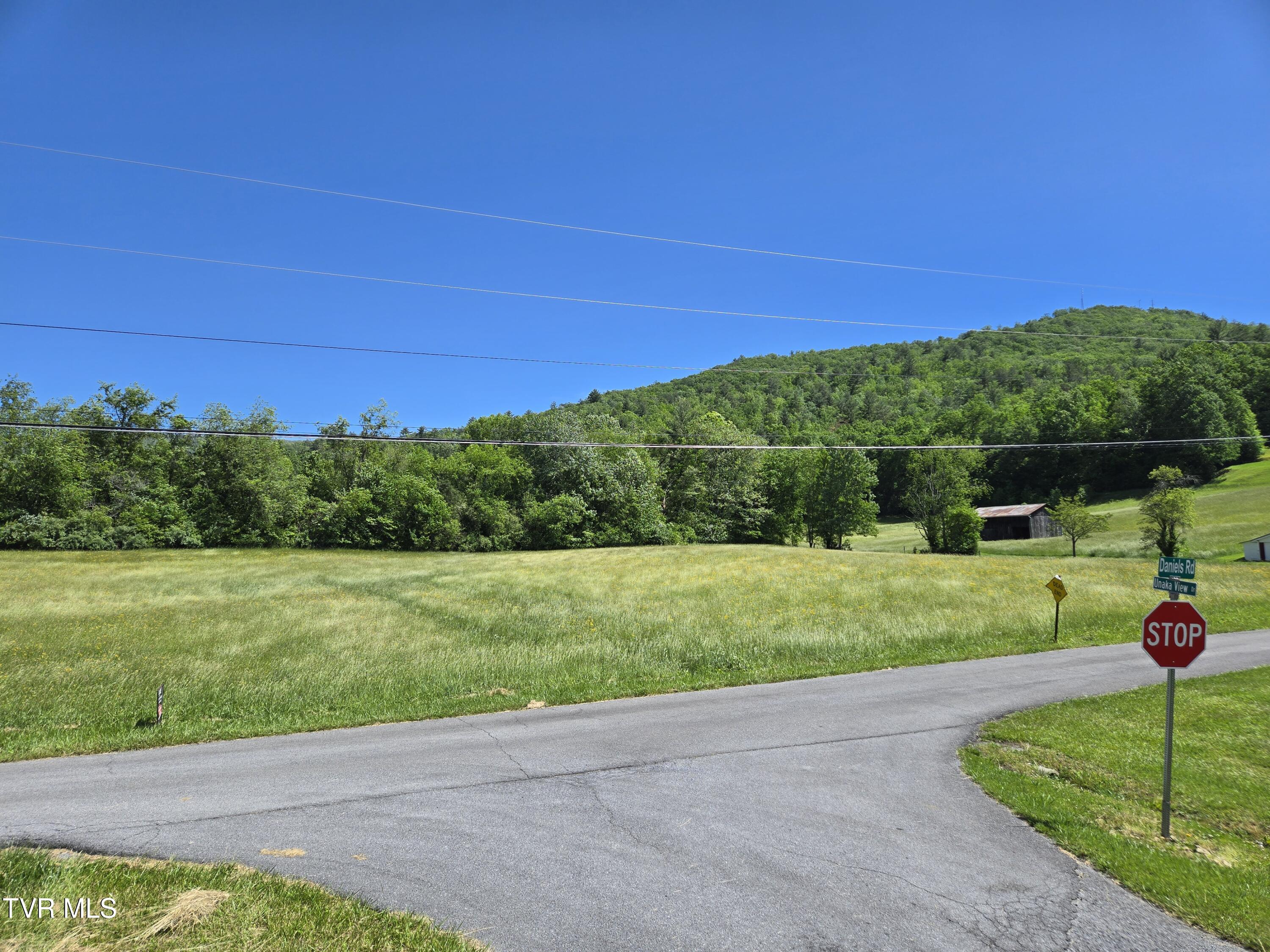 Tbd Unaka View Drive, Erwin, Tennessee image 10