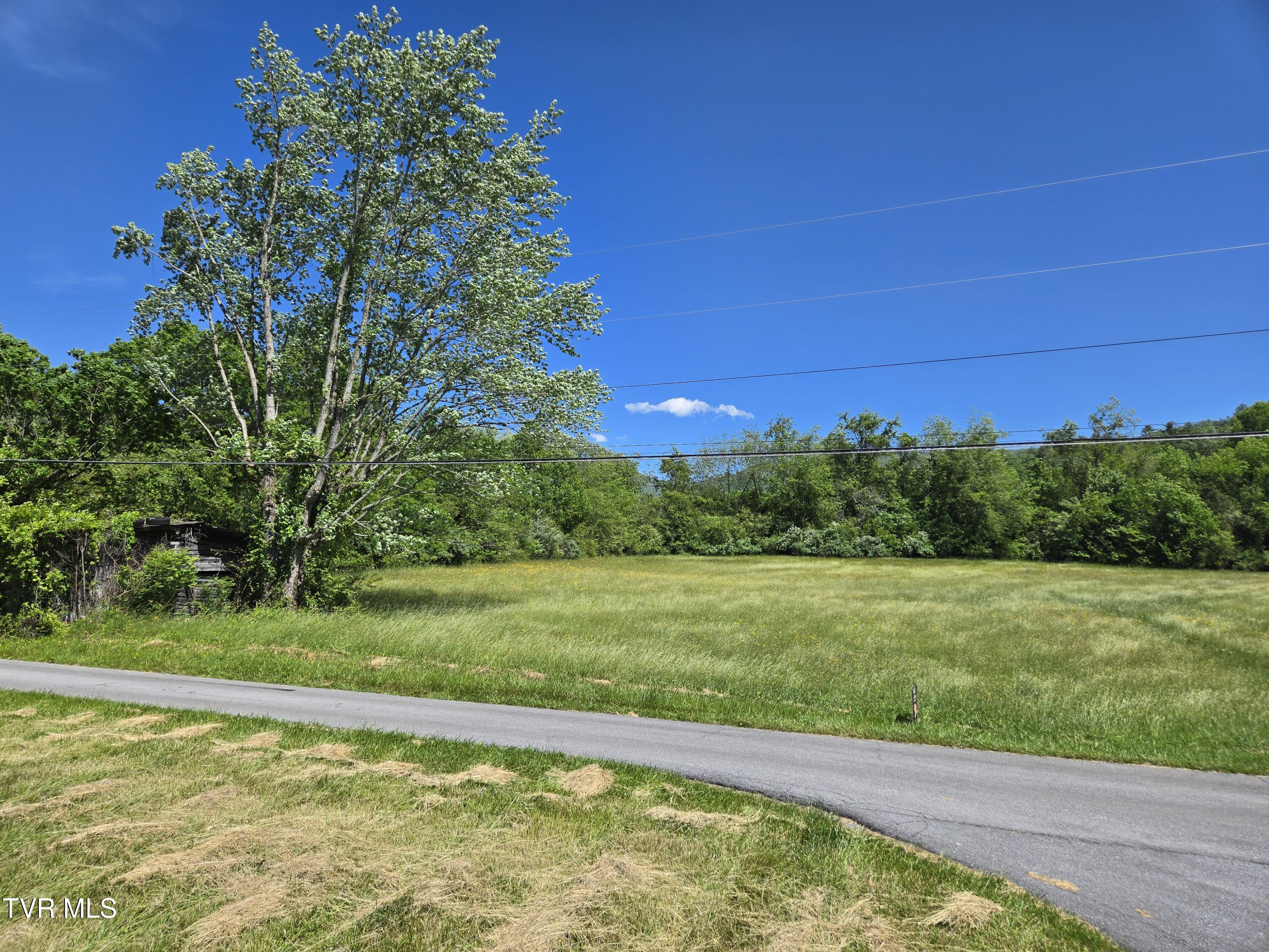 Tbd Unaka View Drive, Erwin, Tennessee image 11