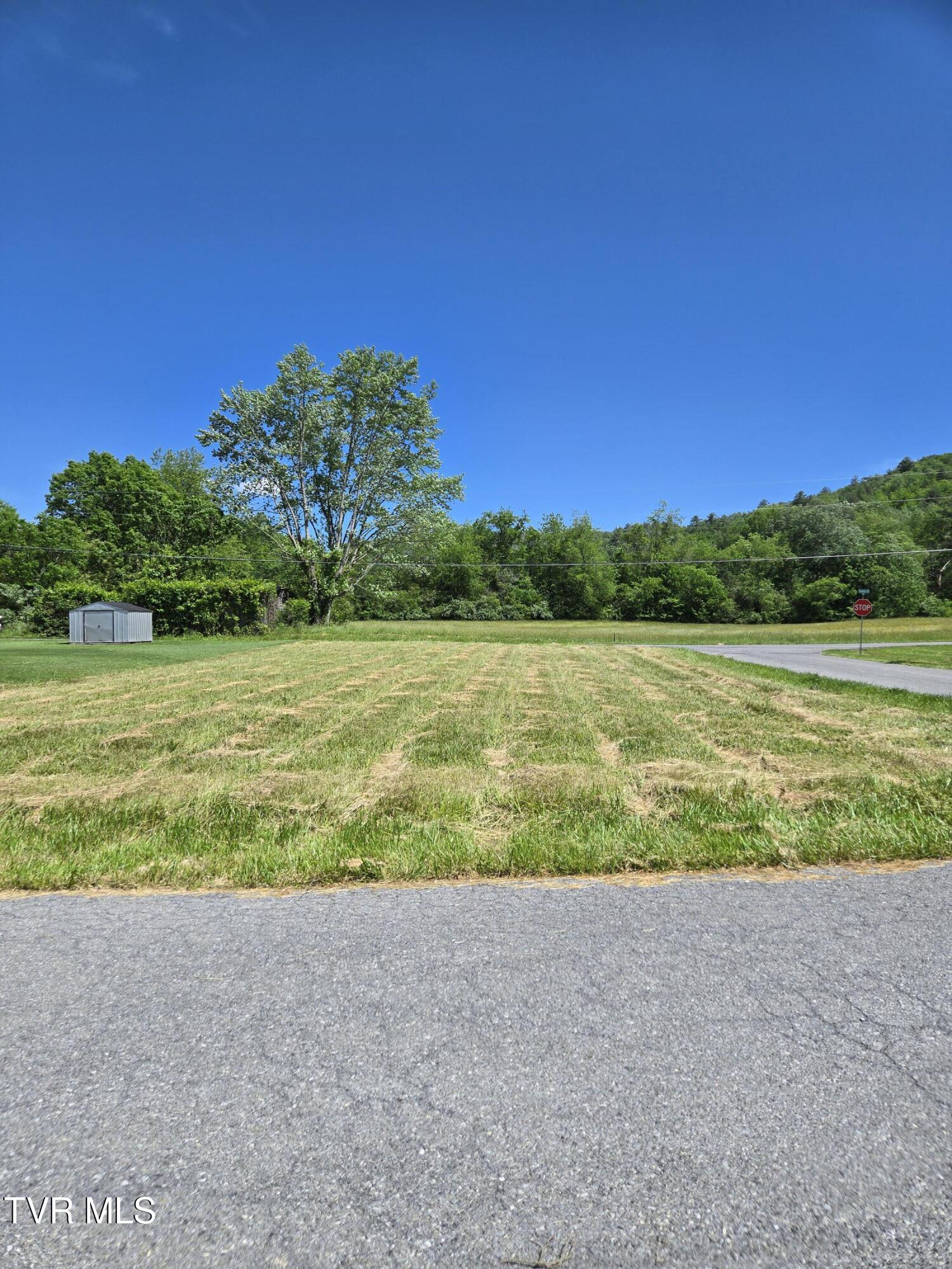 Tbd Unaka View Drive, Erwin, Tennessee image 12
