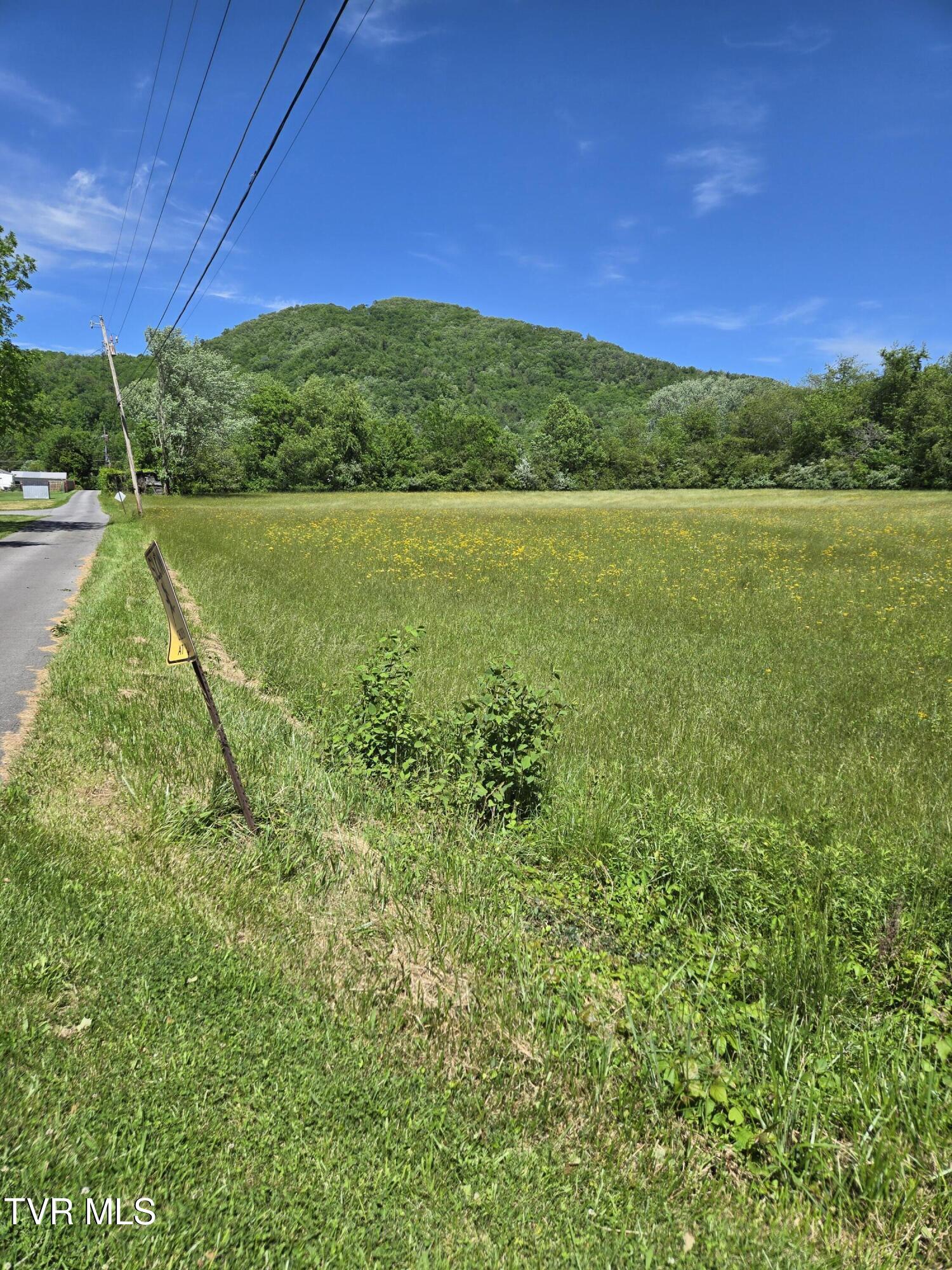 Tbd Unaka View Drive, Erwin, Tennessee image 4