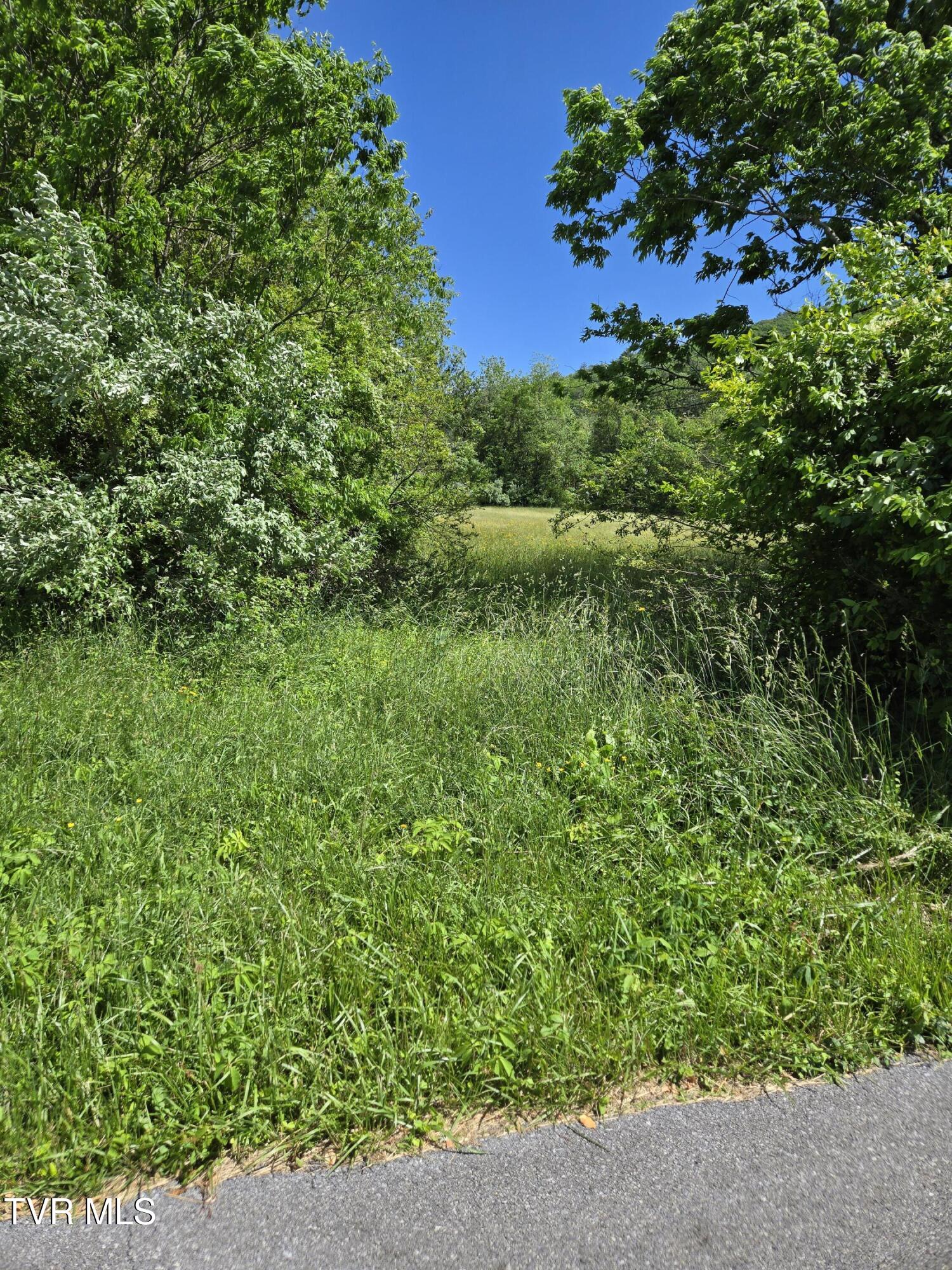 Tbd Unaka View Drive, Erwin, Tennessee image 9