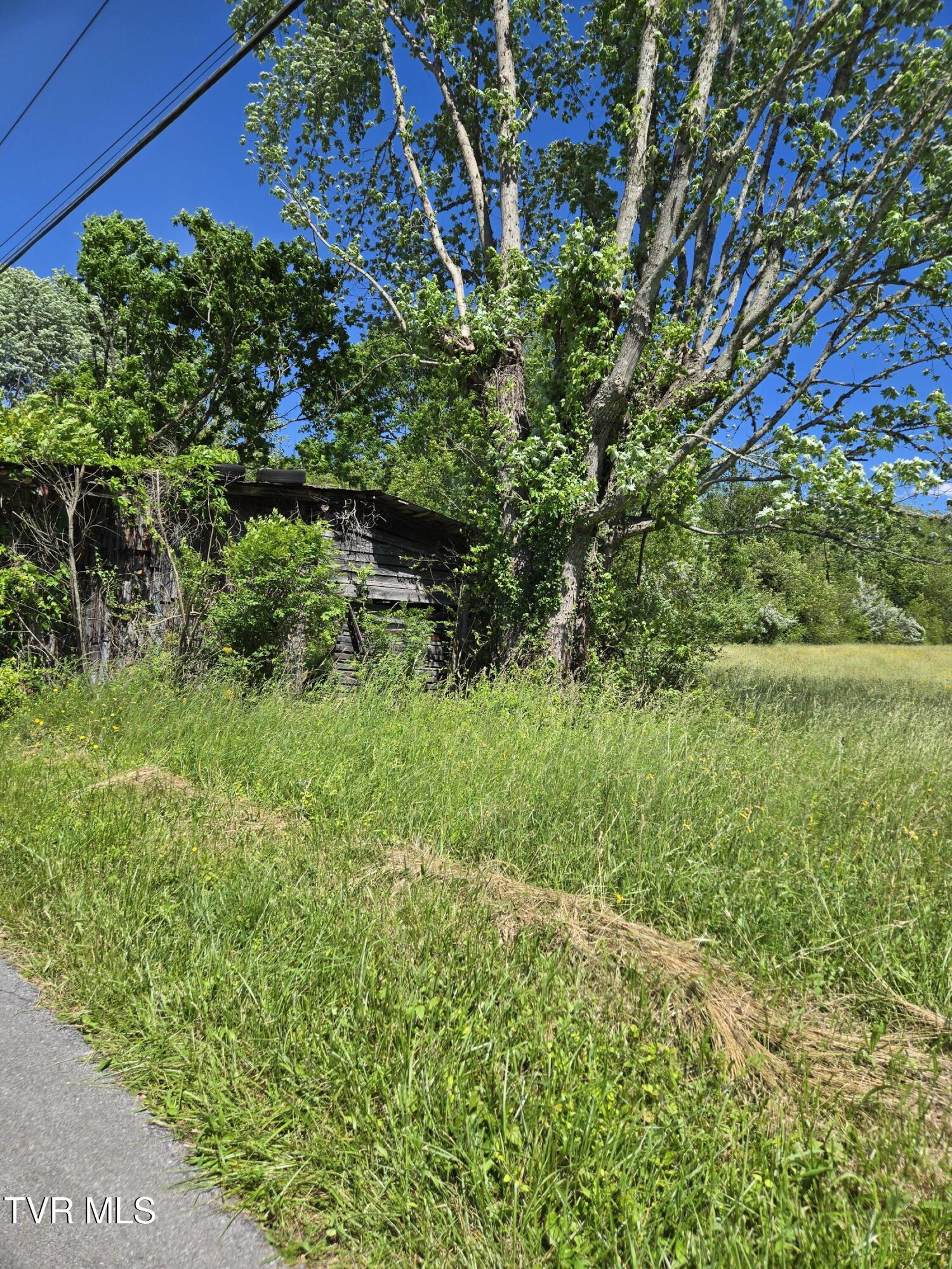Tbd Unaka View Drive, Erwin, Tennessee image 7