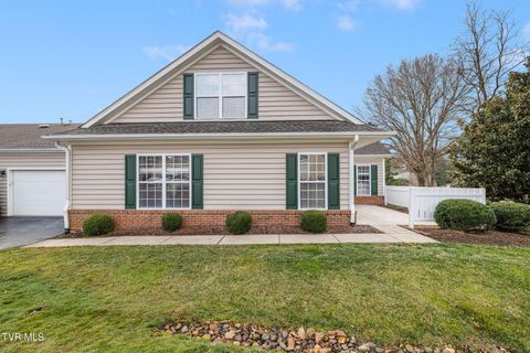Photo of 184 Avonlea Place #184, Johnson City, TN 37604 (MLS # 9989999)