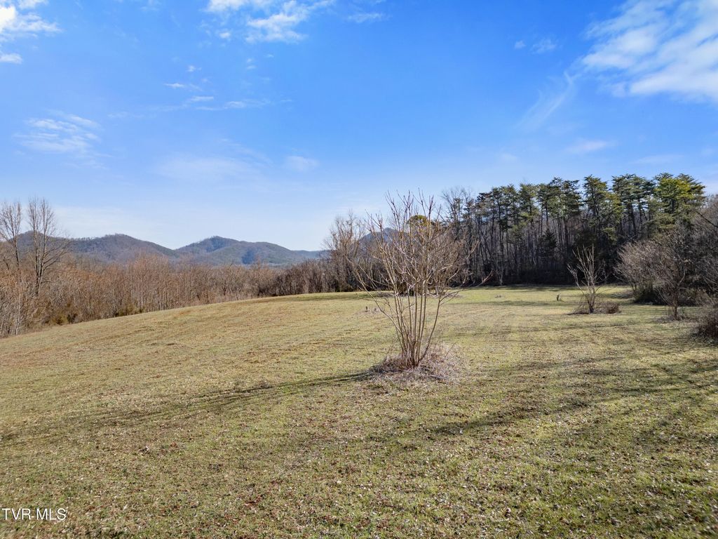 Photo of Tbd Timber Lane, Greeneville, TN 37745 (MLS # 9992330)