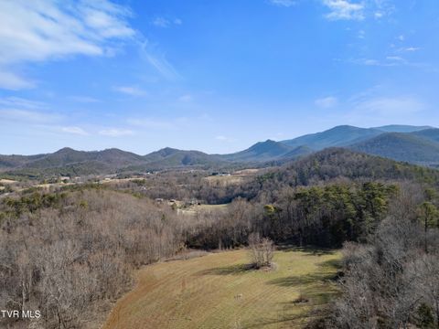 Vacant Land For Sale - TBD Timber Lane<br/> Greeneville, TN 37745