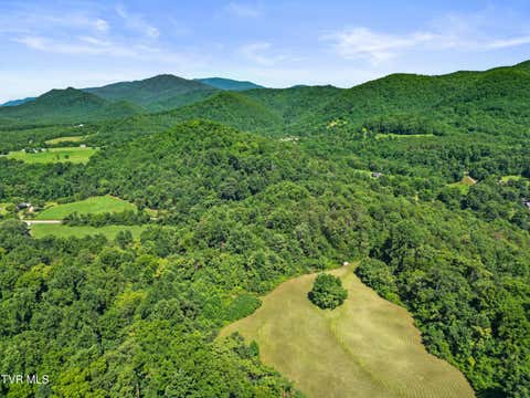 Vacant Land For Sale - TBD Timber Lane<br/> Greene County, Greeneville, TN 37745