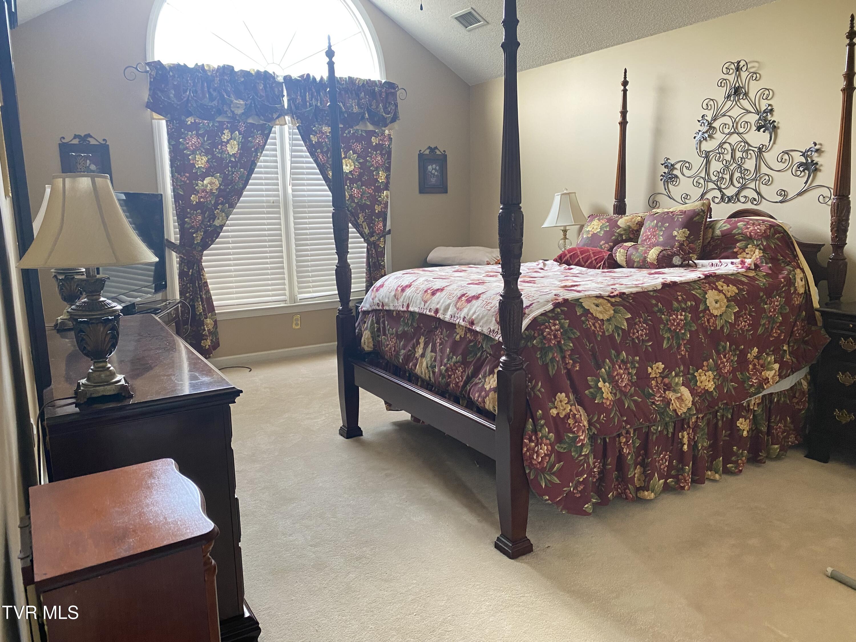 414 Greenbrook Circle, Unicoi, Tennessee image 43