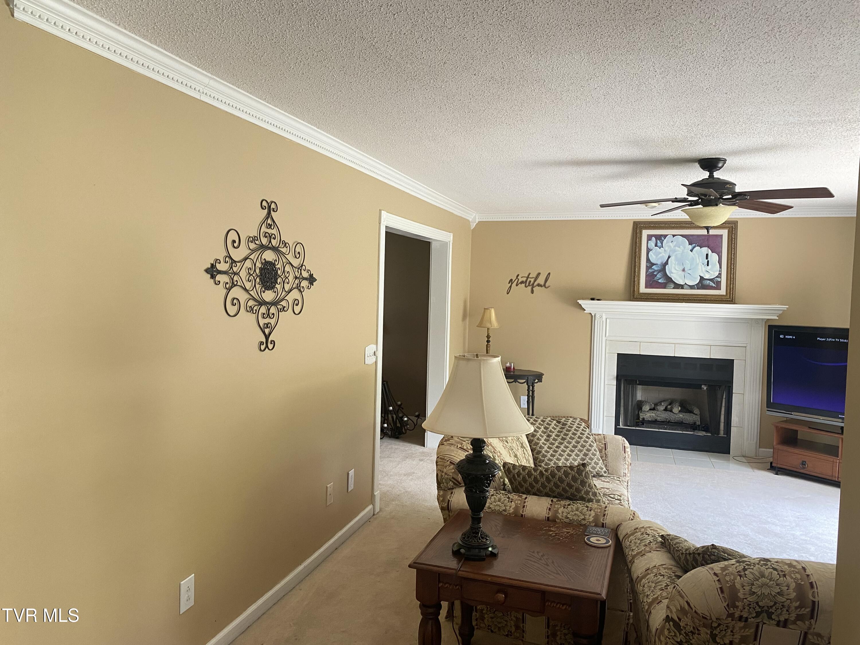 414 Greenbrook Circle, Unicoi, Tennessee image 25