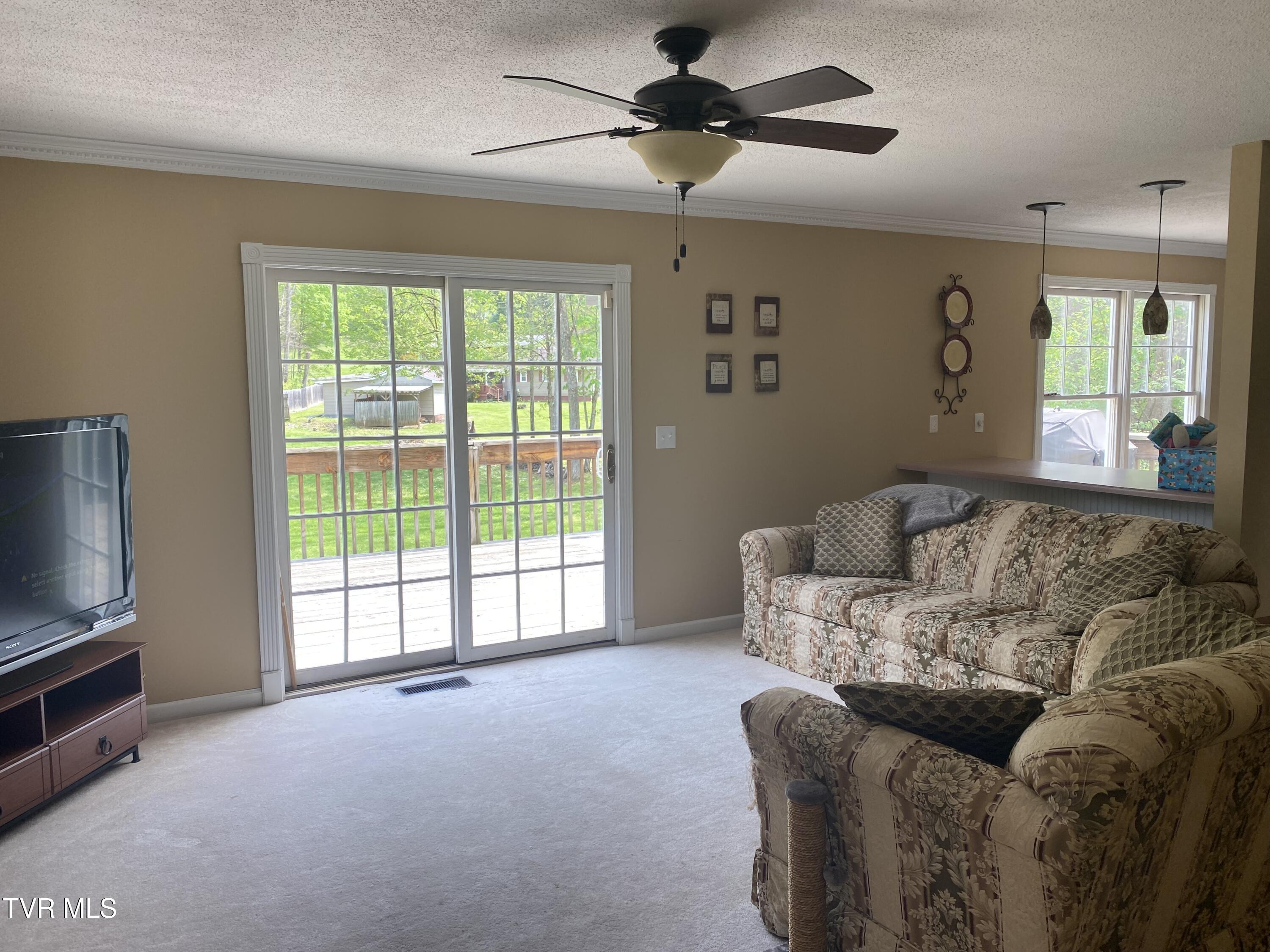 414 Greenbrook Circle, Unicoi, Tennessee image 21
