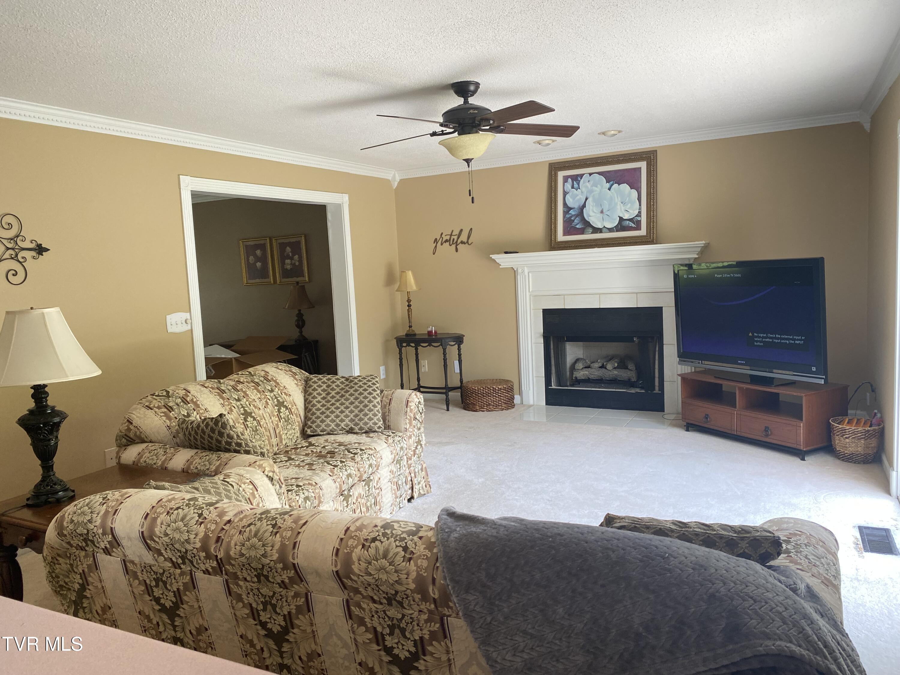 414 Greenbrook Circle, Unicoi, Tennessee image 24