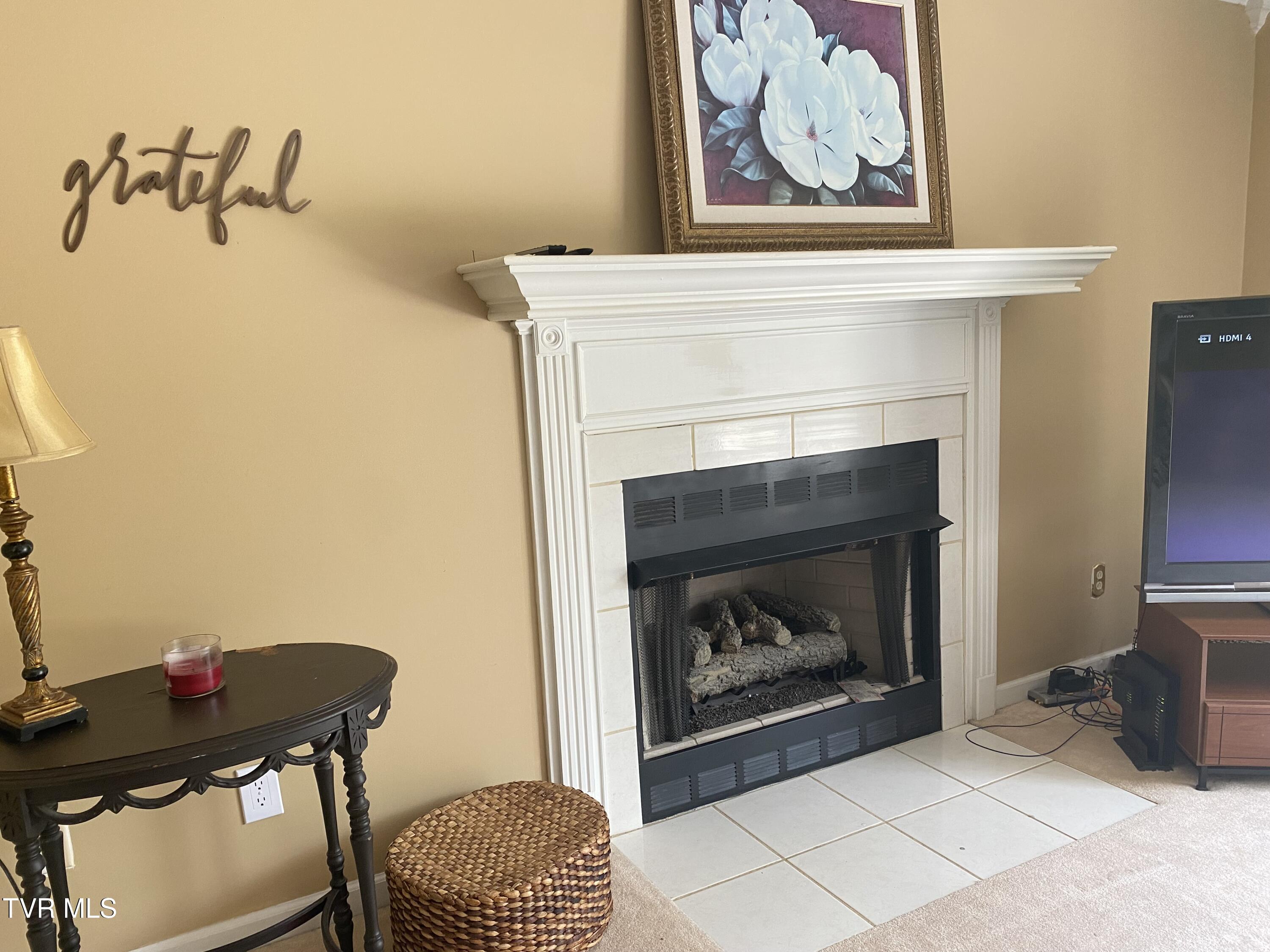 414 Greenbrook Circle, Unicoi, Tennessee image 26