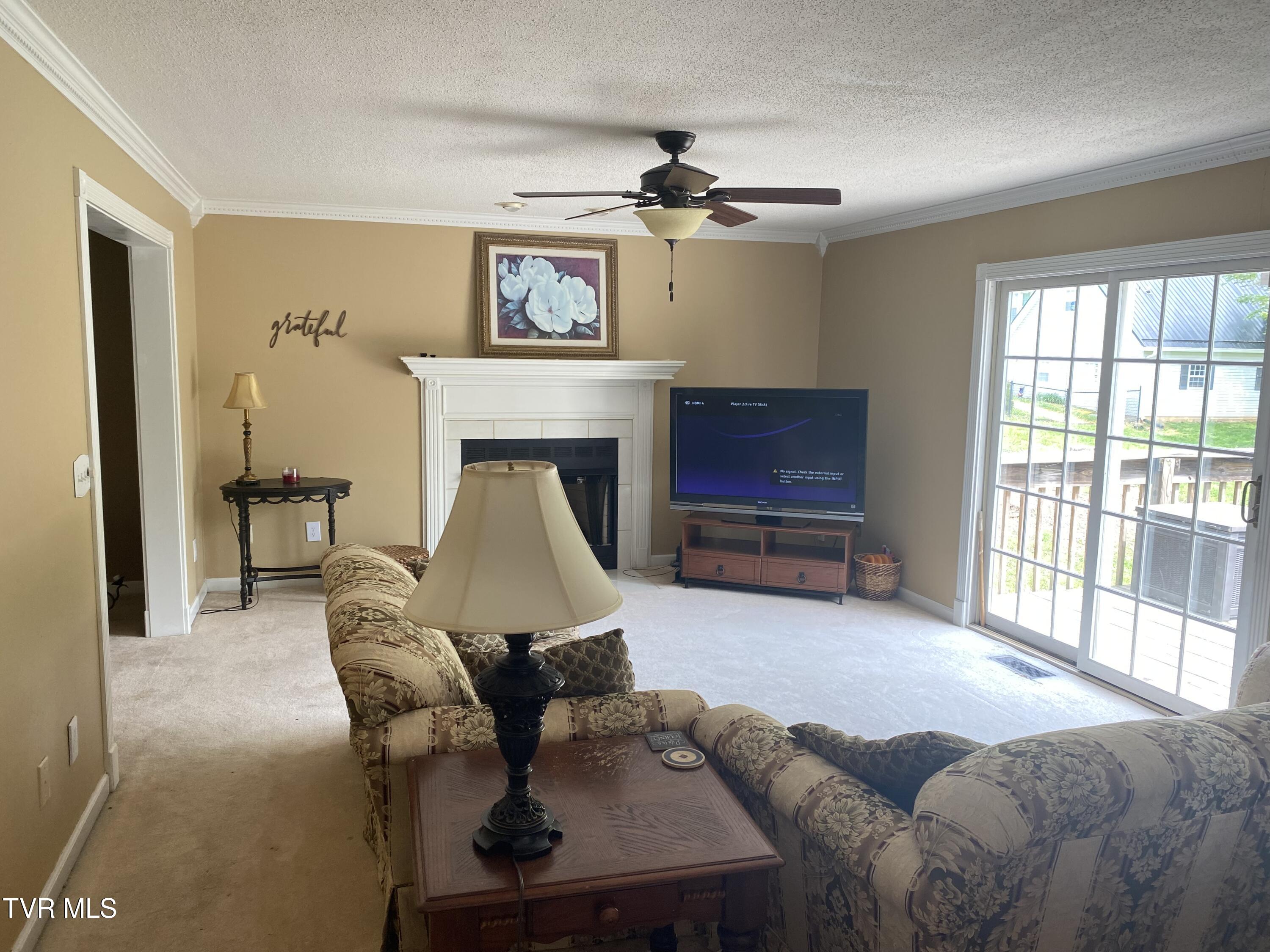 414 Greenbrook Circle, Unicoi, Tennessee image 23