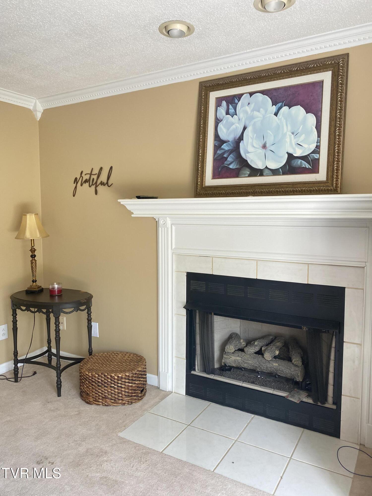 414 Greenbrook Circle, Unicoi, Tennessee image 37